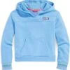 Vineyard Vines Kids Smocked Sleeve Hoodie Shep (Toddler/Little Kids/Big Kids)